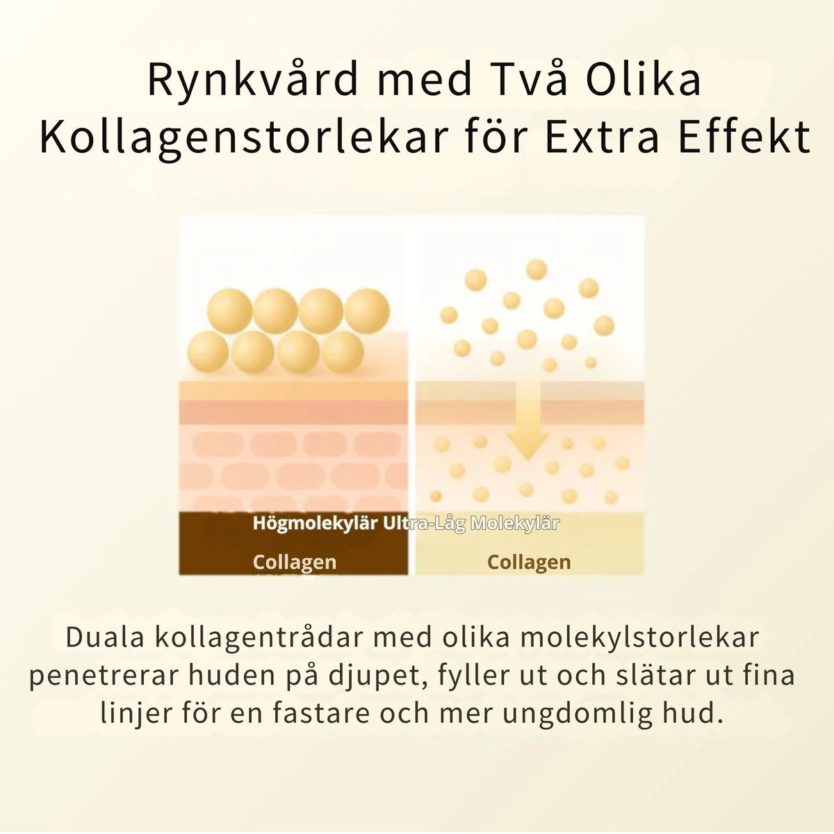 Barubt | Silk Peptide Intensivt Lyftande Ampull