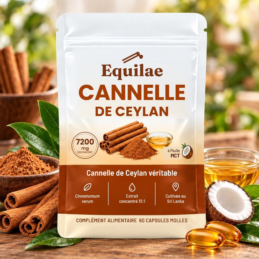 Un sachet de cannelle de Ceylan Equilae
