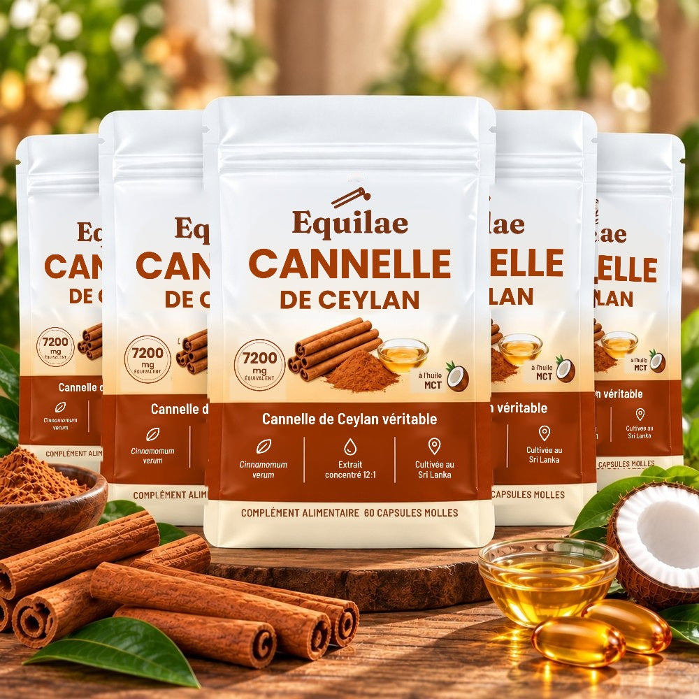 Cinq sachets de cannelle de Ceylan Equilae